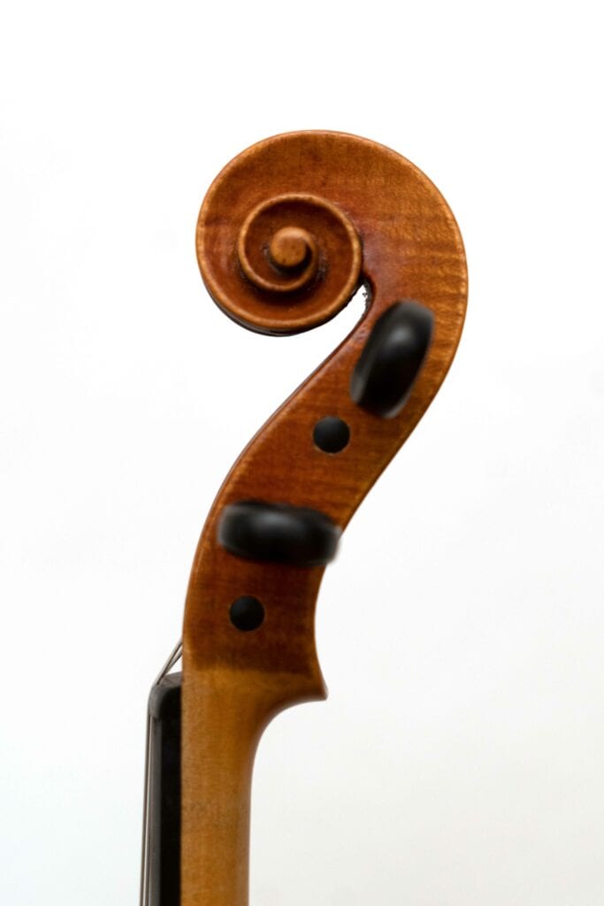 Dietsche_SchneckeReckts