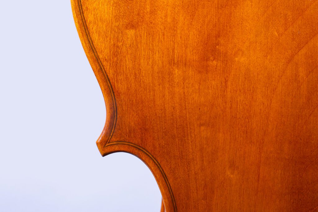 CloseUp_244A1893 Kopie